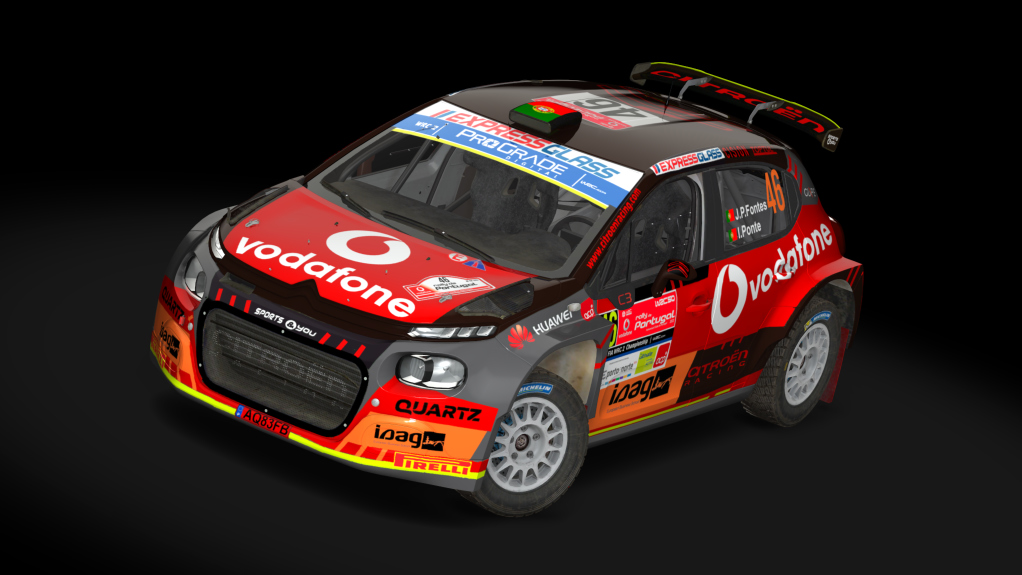 Rally 2 Citroen C3 GRAVEL, skin 13