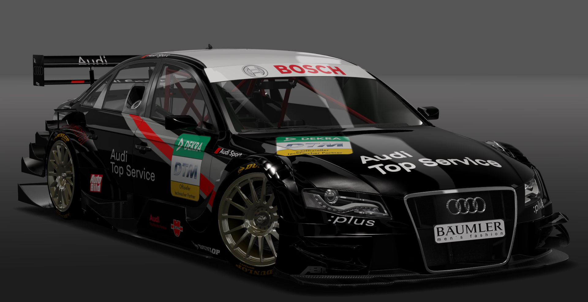 Audi A4 DTM HillClimb, skin top_service