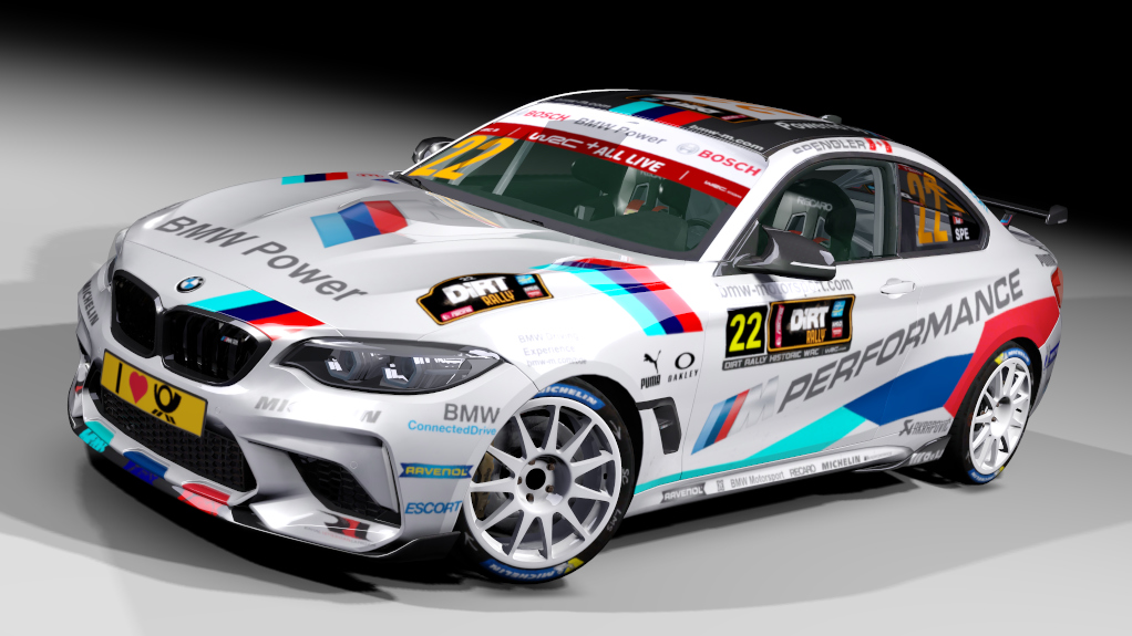 LF BMW M2 R-GT, skin BMW Power