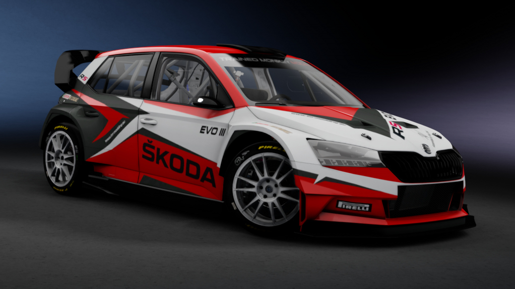 Skoda Fabia R5 DTRi Evo 3 Preview Image