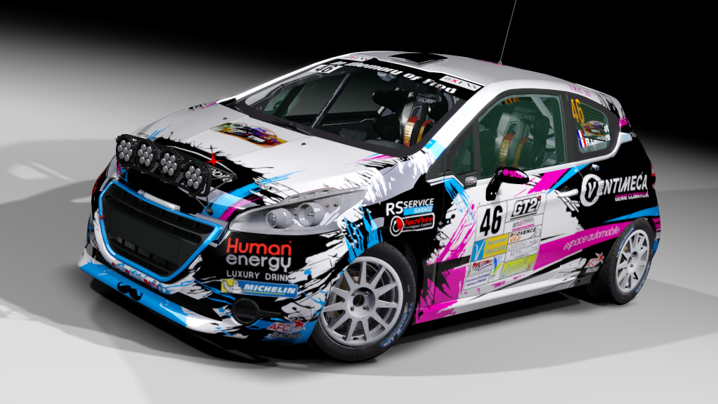 LF Peugeot 208 R2, skin Jonathan Marjollet