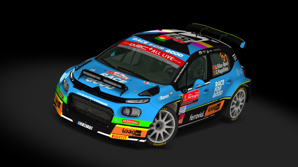 Rally 2 Citroen C3 TARMAC, skin 14