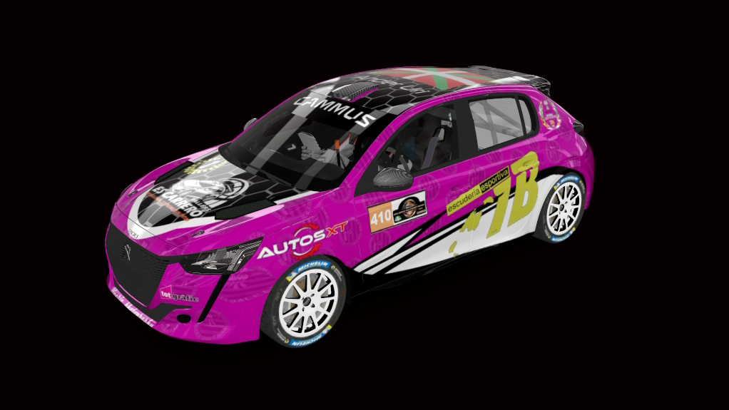 Supply Peugeot 208 rally4, skin RS-410