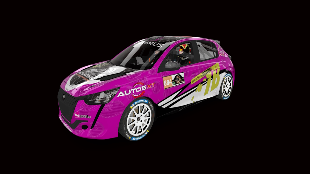 Supply Peugeot 208 rally4, skin RS-884