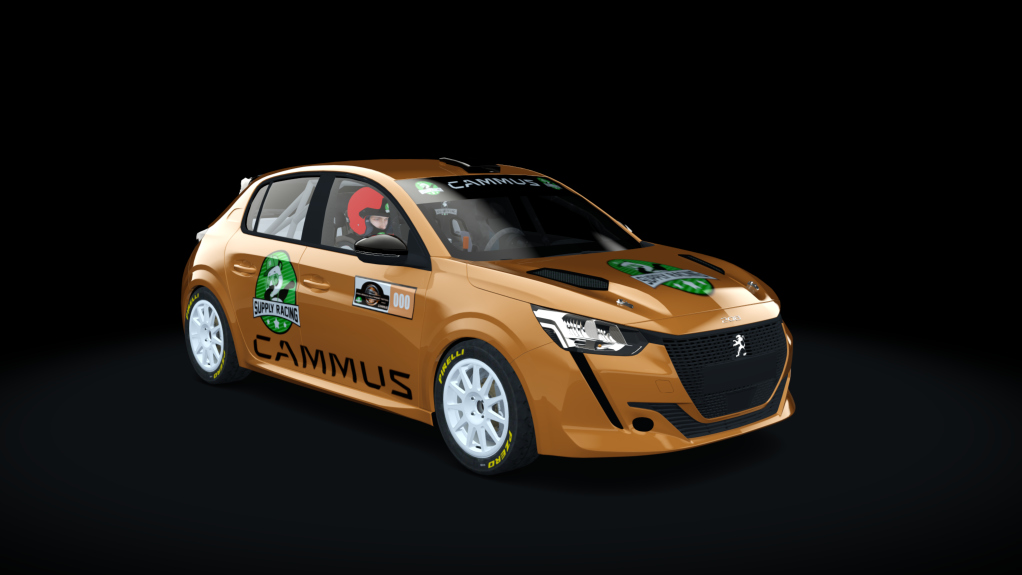 Supply Peugeot 208 rally4, skin Rs-000