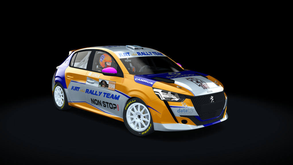 Supply Peugeot 208 rally4, skin Rs-098