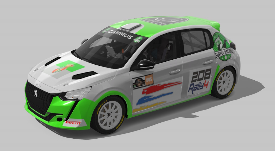 Supply Peugeot 208 rally4, skin Rs-805