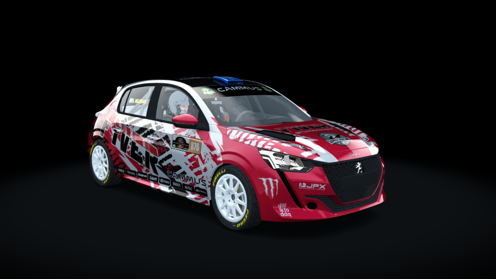 Supply Peugeot 208 rally4, skin Rs-876