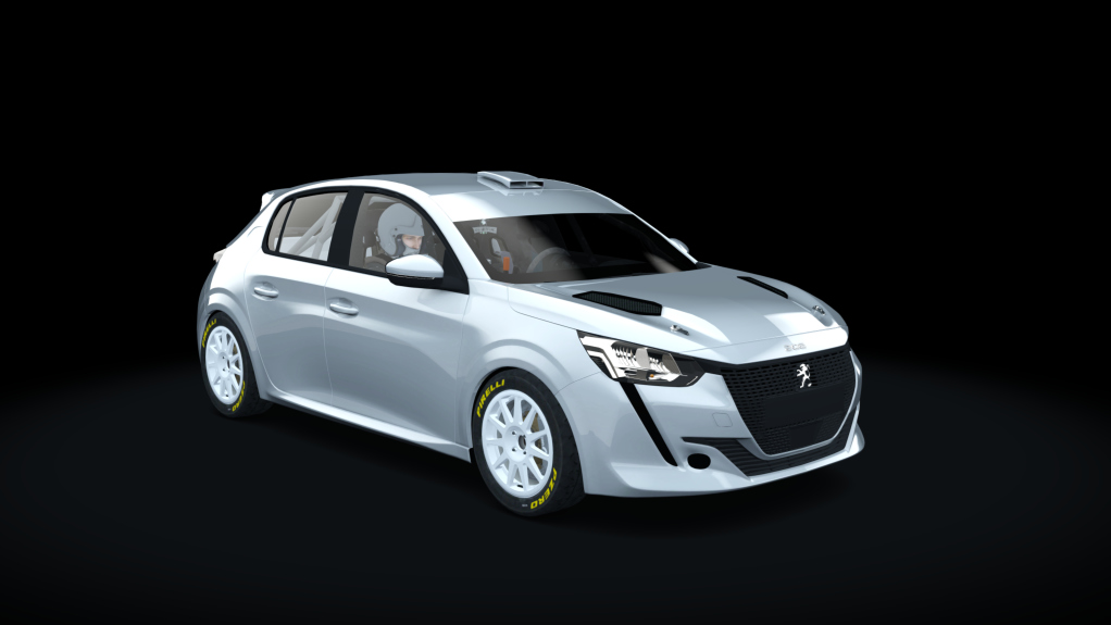 Supply Peugeot 208 rally4, skin Template