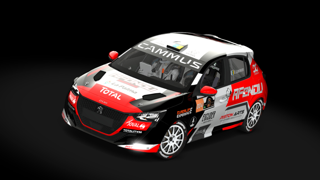 Supply Peugeot 208 rally4, skin rs-004