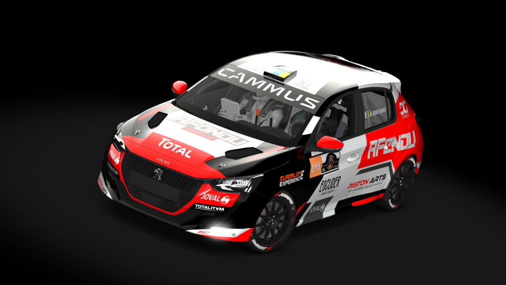 Supply Peugeot 208 rally4, skin rs-095