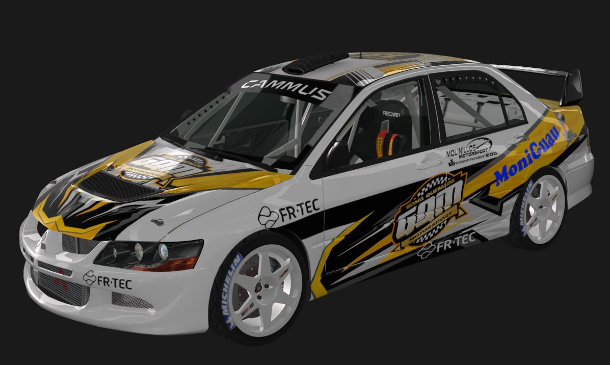 Supply Mitsubishi Lancer EVO 8, skin Mon-605