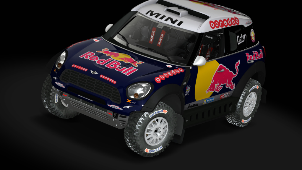 CT4 Mini Countryman, skin nasser