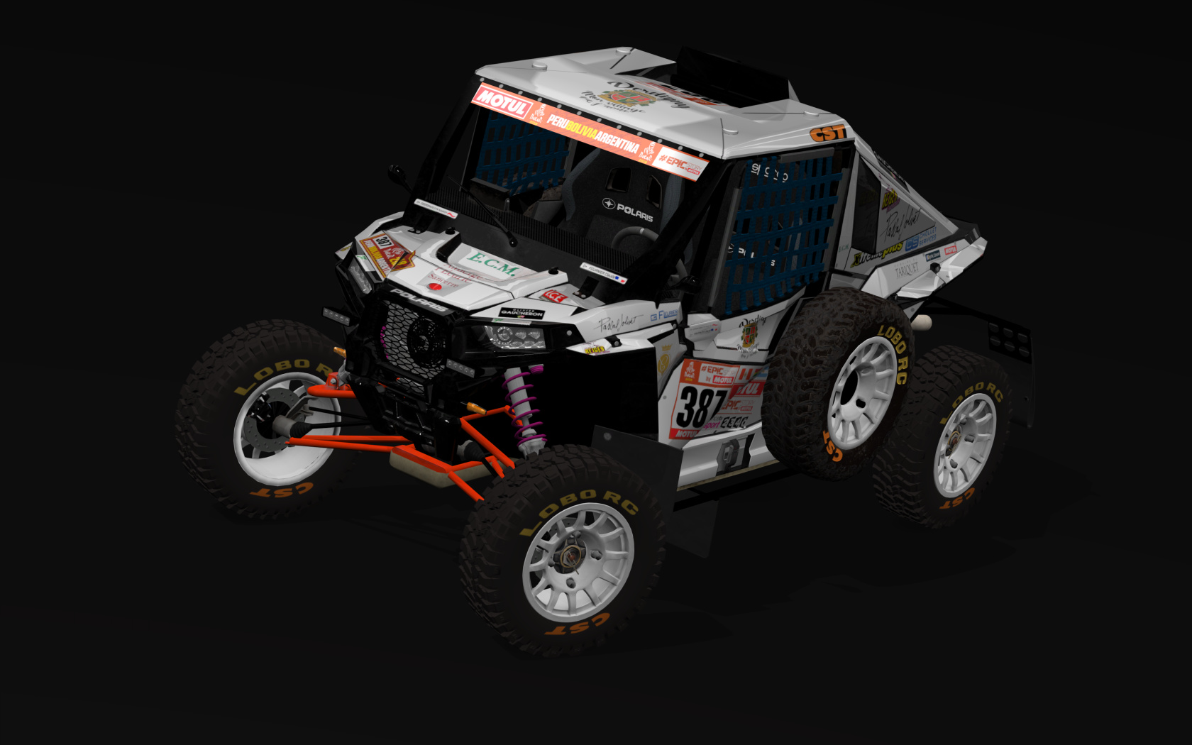 CT3 Polaris RZR XP, skin 03