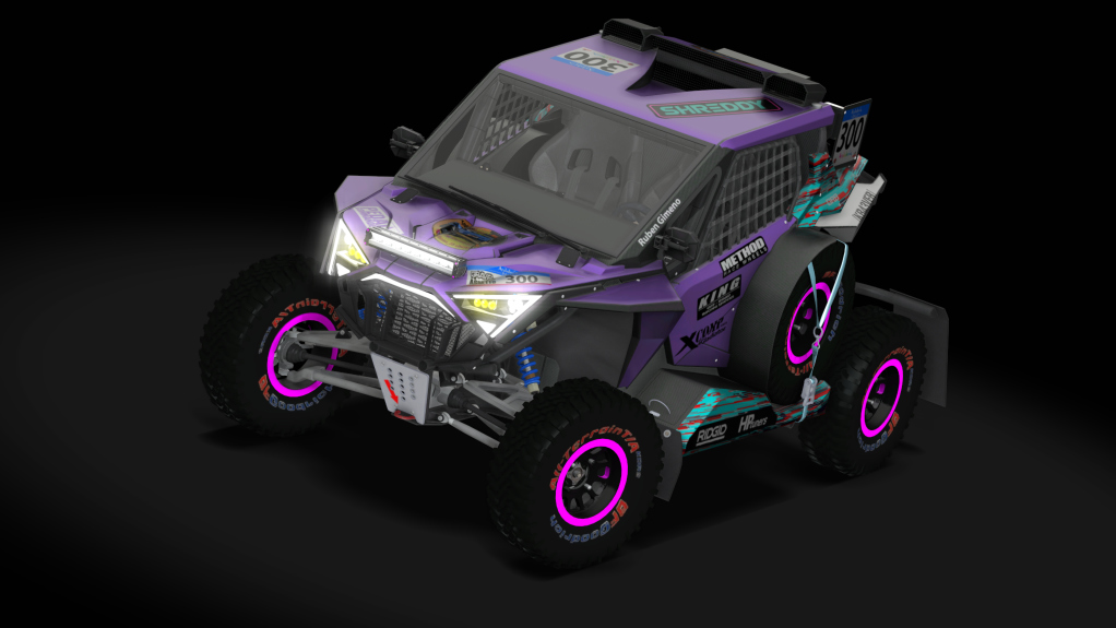 CT3pro Polaris RZR XP PRO 22, skin 300-Ruben Gimeno