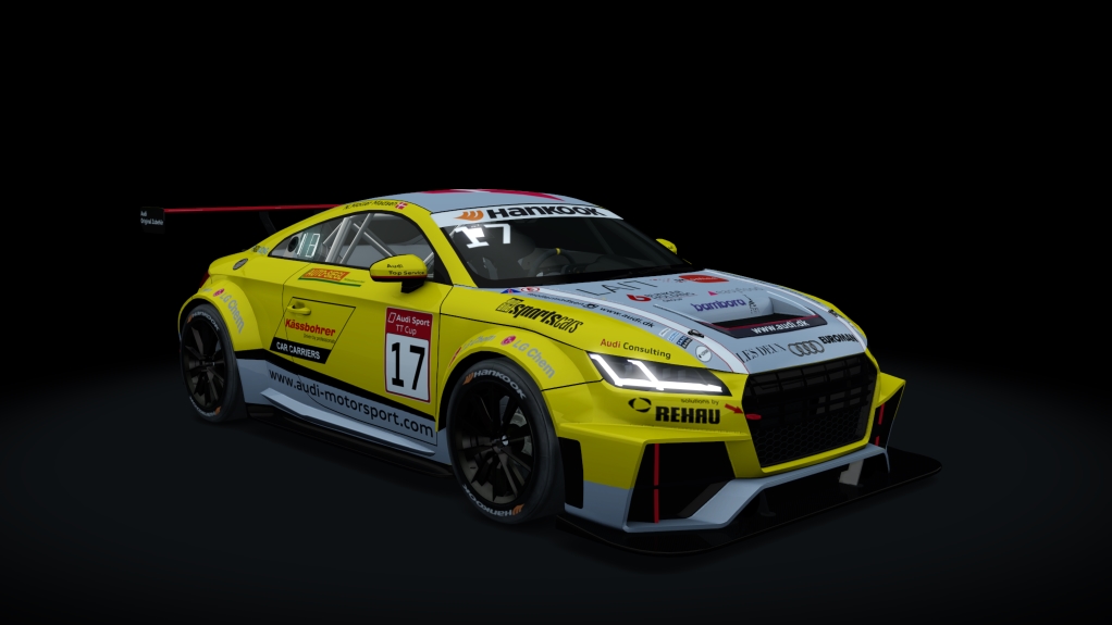 Audi TT Cup, skin 17_Nicolaj