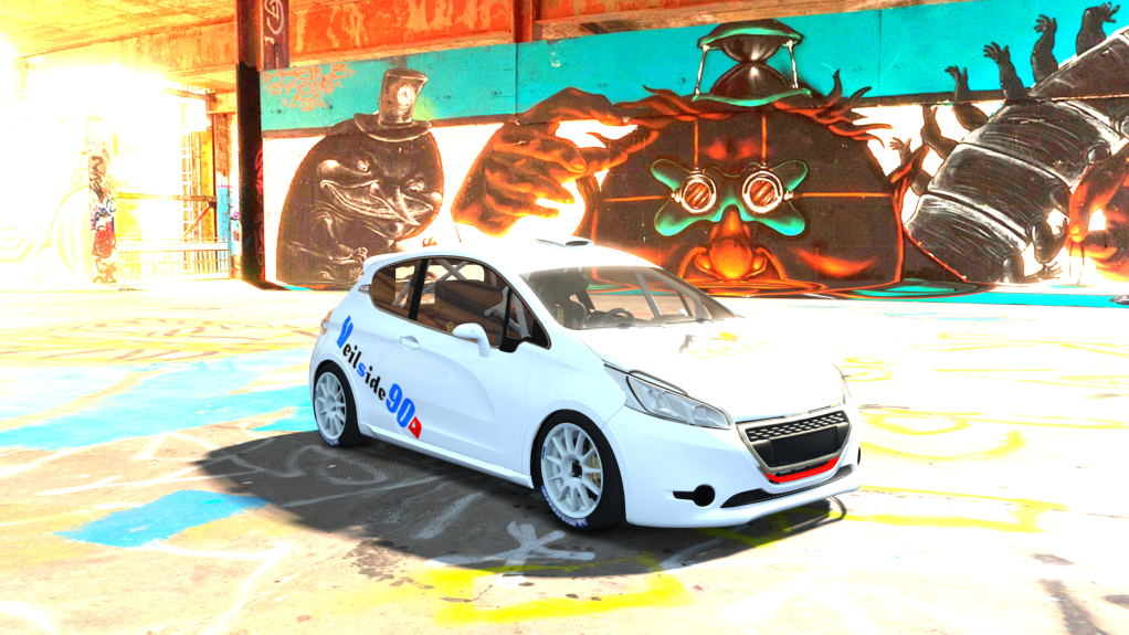 Peugeot 208 R2, skin CNSAC