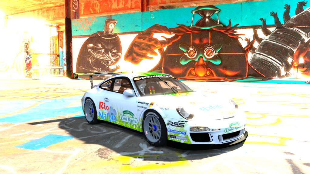 Porsche 911 (GT3) Cup (997), skin 2