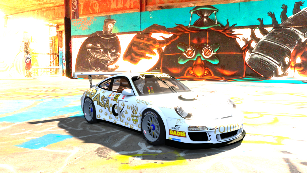 Porsche 911 (GT3) Cup (997), skin 4