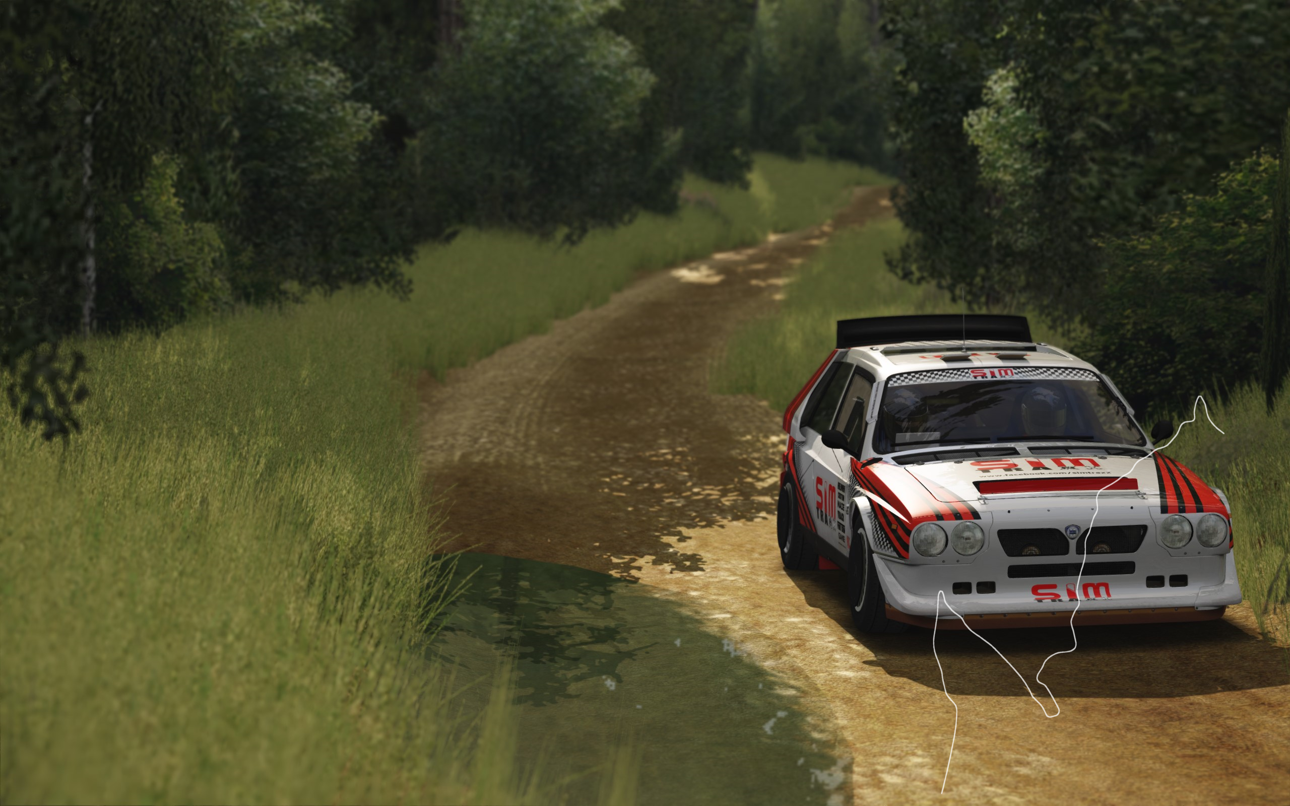 Rally Poland:Shakedown/GRAVEL -> V1.0 RC1 (SIM TRAXX), layout l1