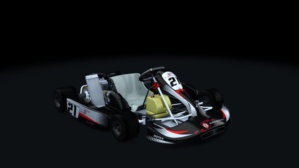 Rotax junior Kart_fix_v3, skin New Folder