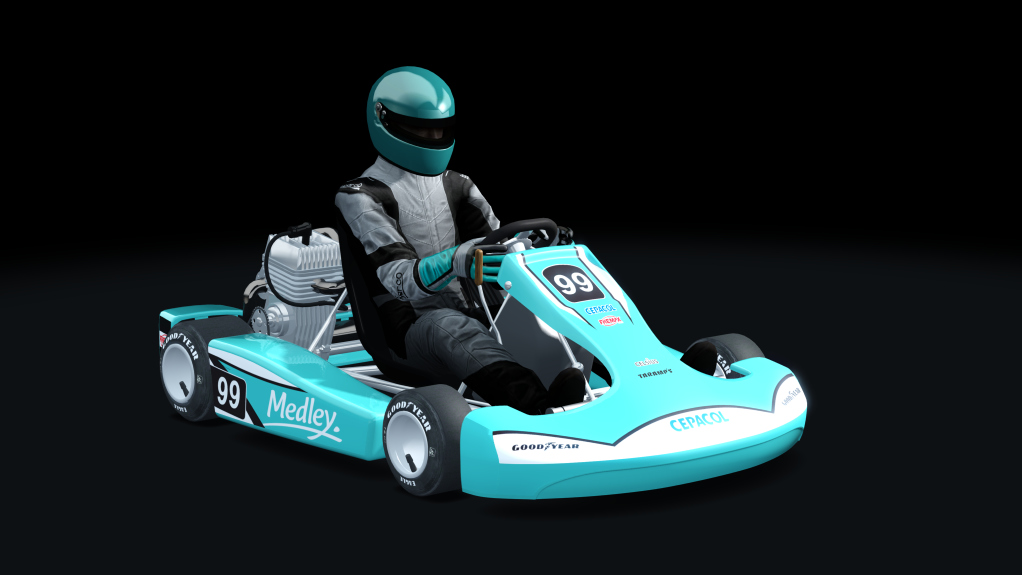 ASRL Shifter Kart 125, skin MEDLEY