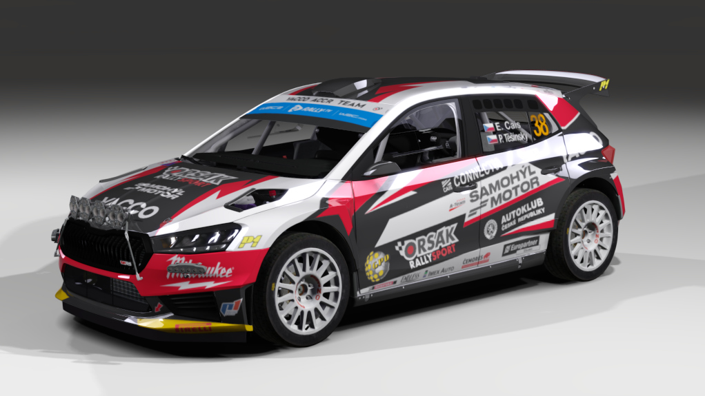 LF Rally2 Skoda Fabia RS Rally2, skin Erik Cais