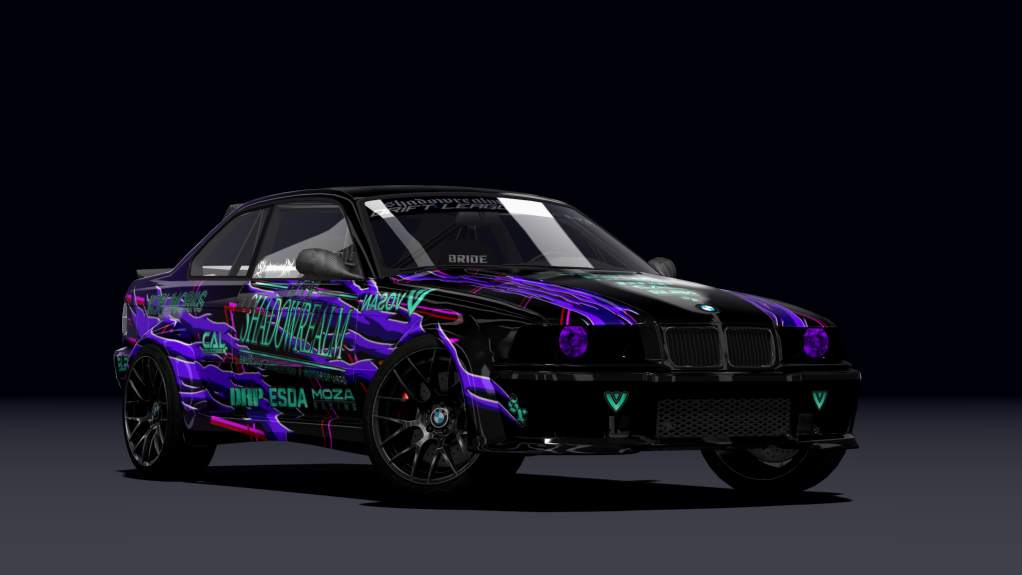 SRDL ProAM BMW M3 E36, skin _TeamSR